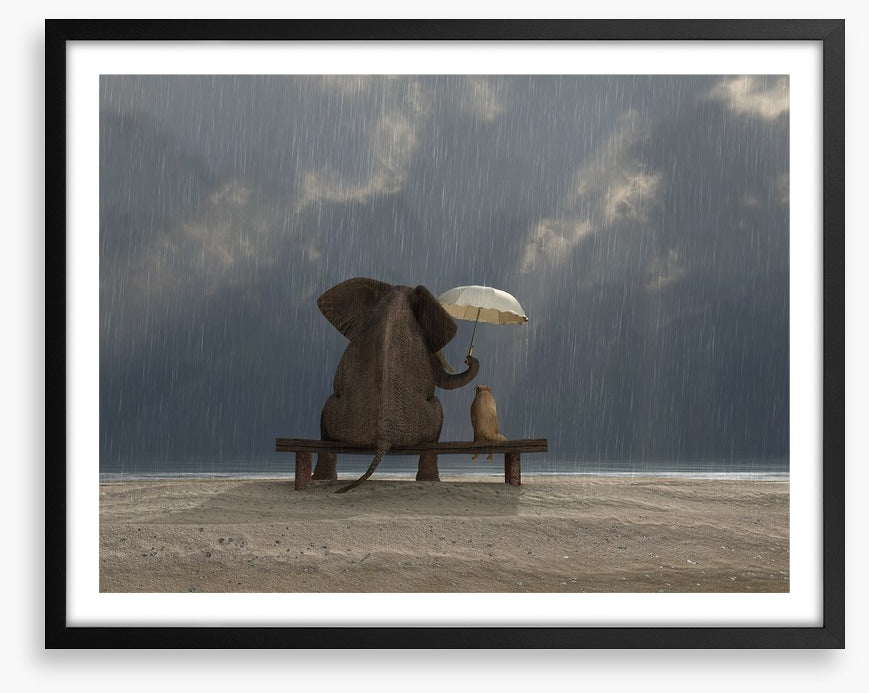 Together in the rain