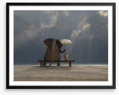Together in the rain