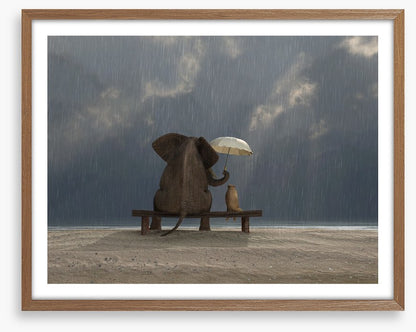 Together in the rain