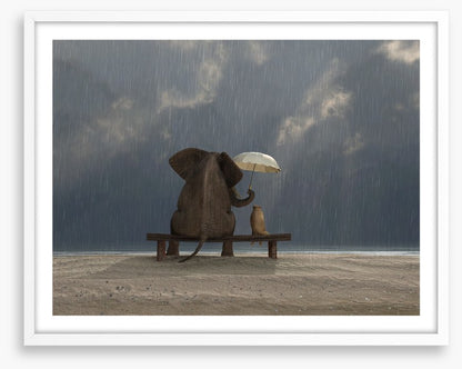 Together in the rain