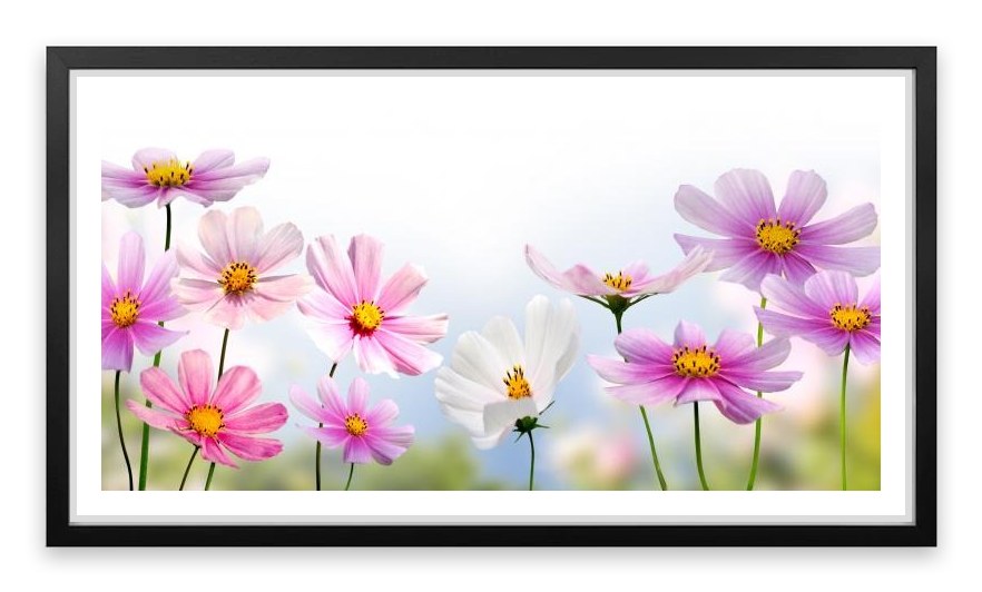 Pink flower panoramic