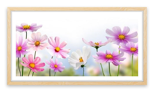 Pink flower panoramic