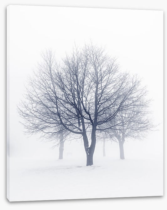 Bones of the boughs