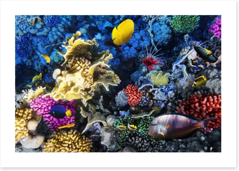 Underwater