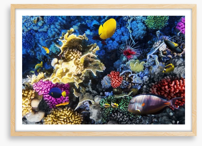Underwater