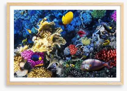 Underwater