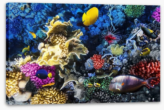 Underwater