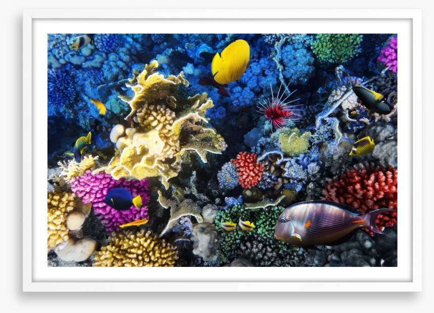 Underwater