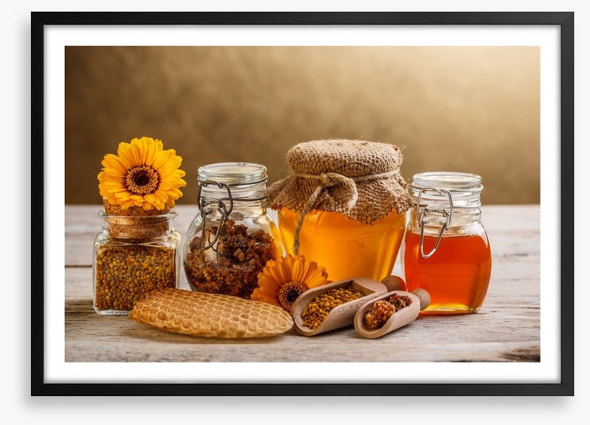 Still Life