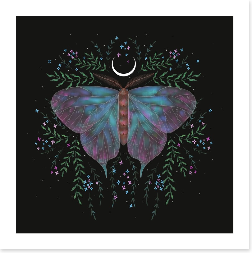 Moonlight moth