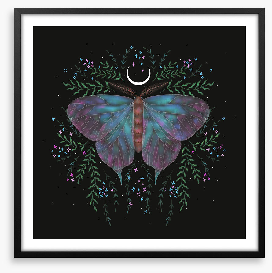 Moonlight moth