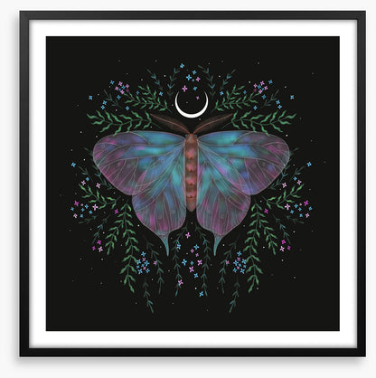 Moonlight moth