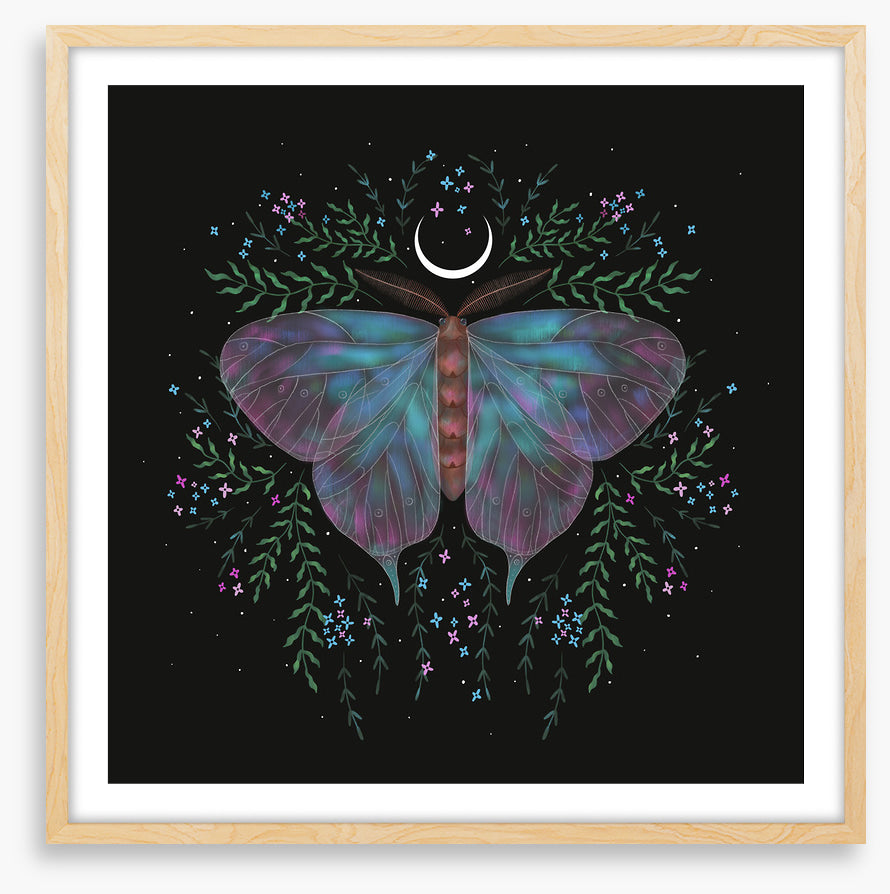 Moonlight moth