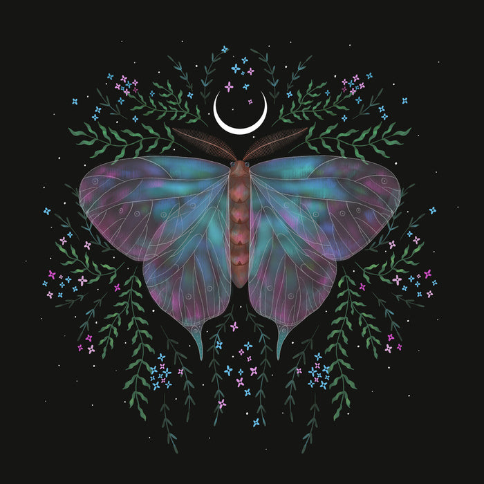 Moonlight moth