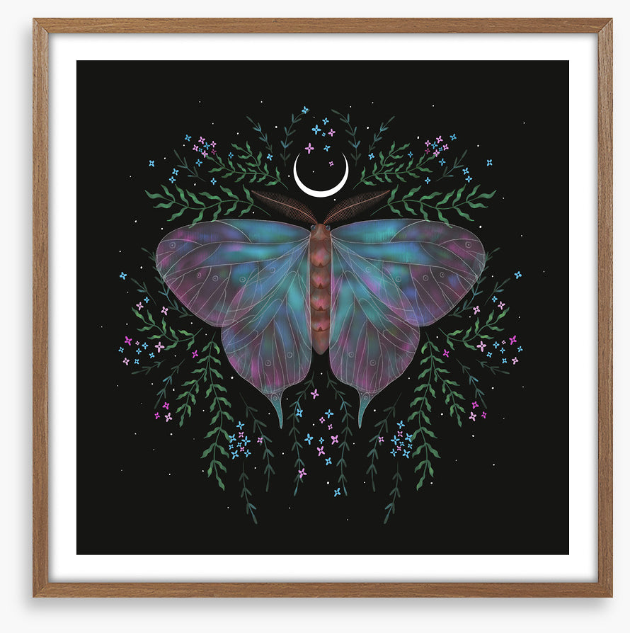 Moonlight moth