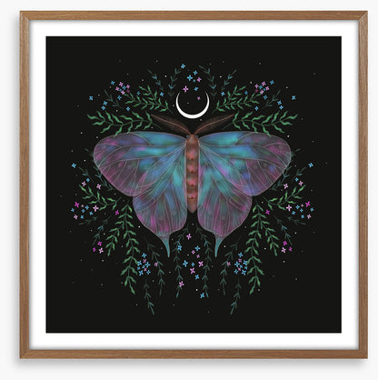 Moonlight moth