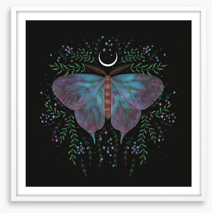 Moonlight moth
