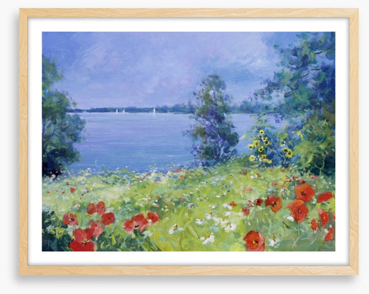 Poppies by the lake