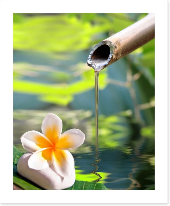 Serenity