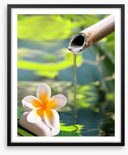 Serenity