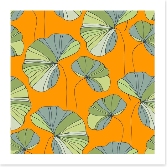 Water lily leaves