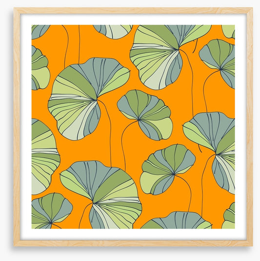 Water lily leaves
