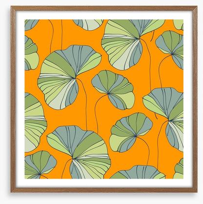 Water lily leaves
