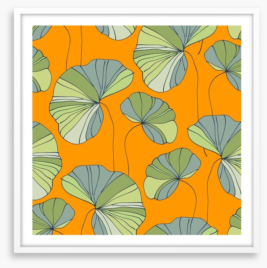 Water lily leaves