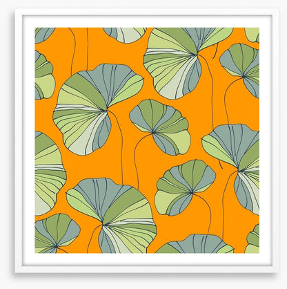 Water lily leaves