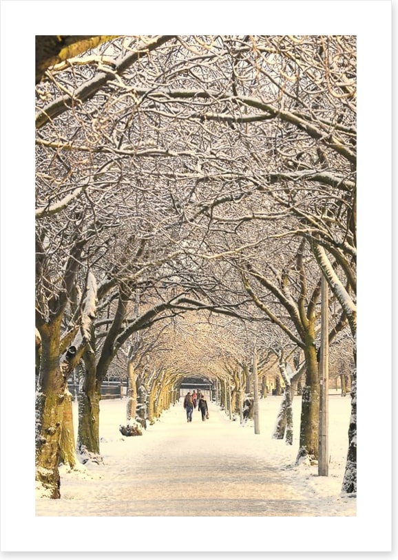 Winter pathway