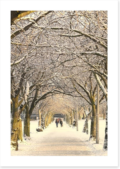 Winter pathway