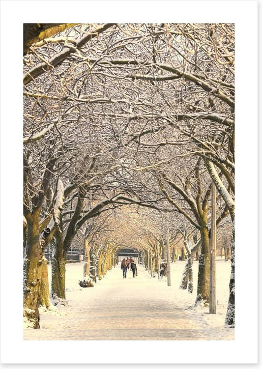 Winter pathway