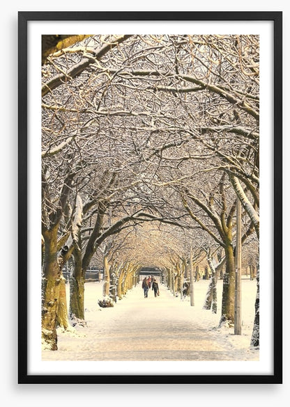 Winter pathway