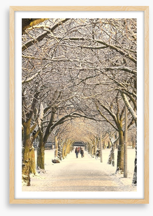 Winter pathway
