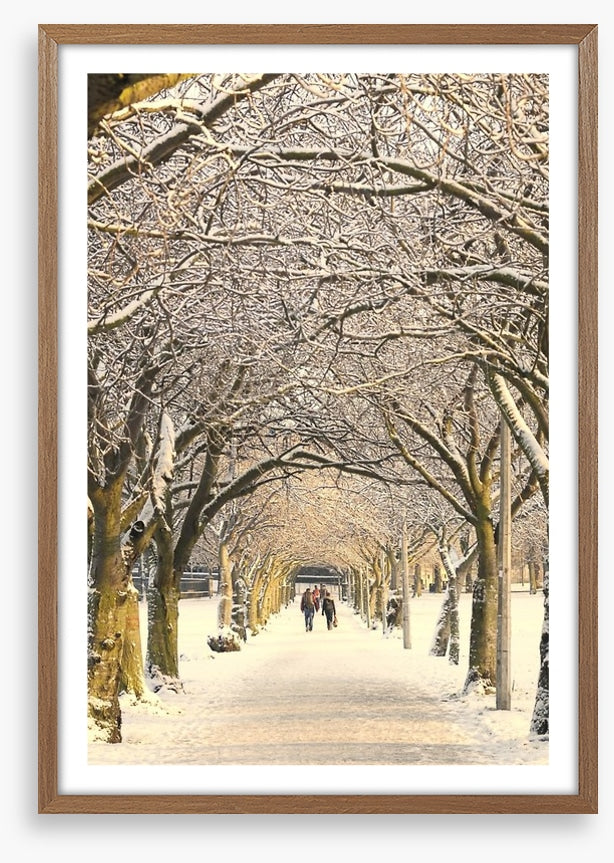 Winter pathway
