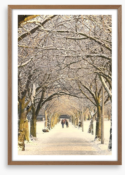 Winter pathway