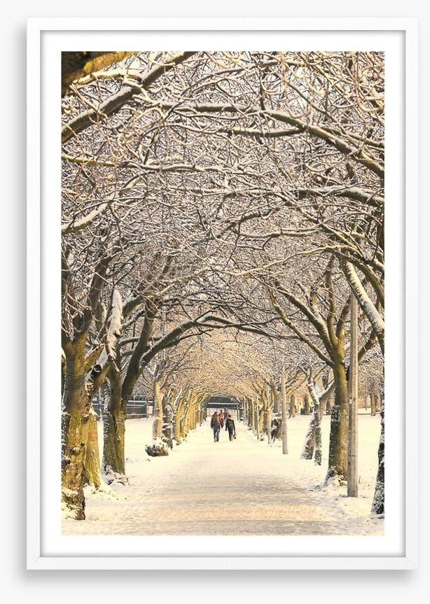Winter pathway