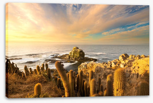 Off the cactus coast