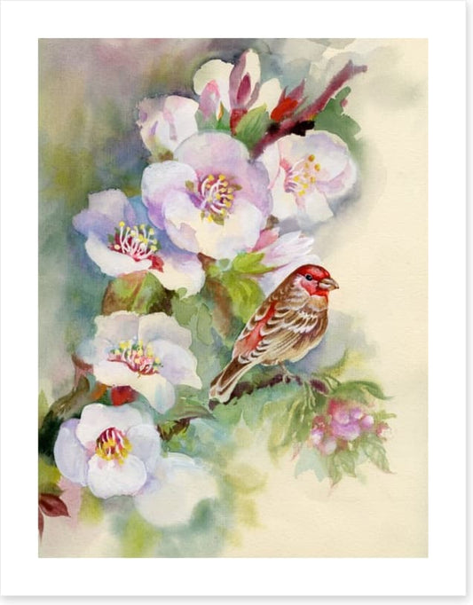 Apple blossom bird