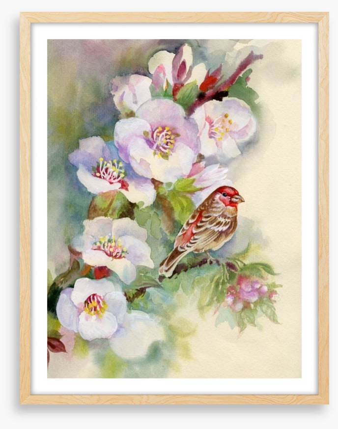 Apple blossom bird