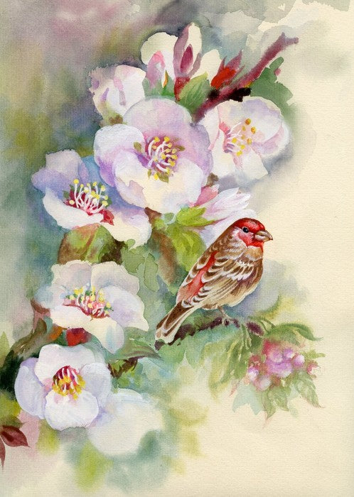 Apple blossom bird