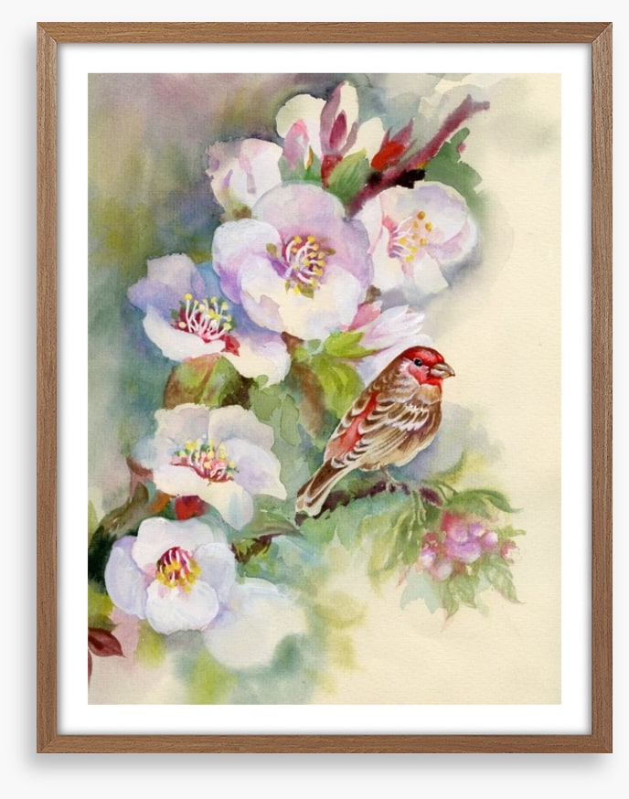 Apple blossom bird