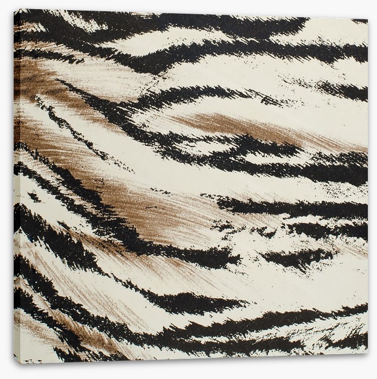 Animal Print