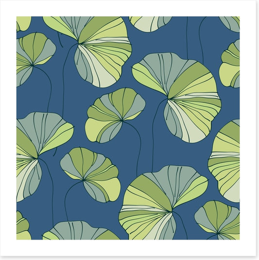 Water lily leaves