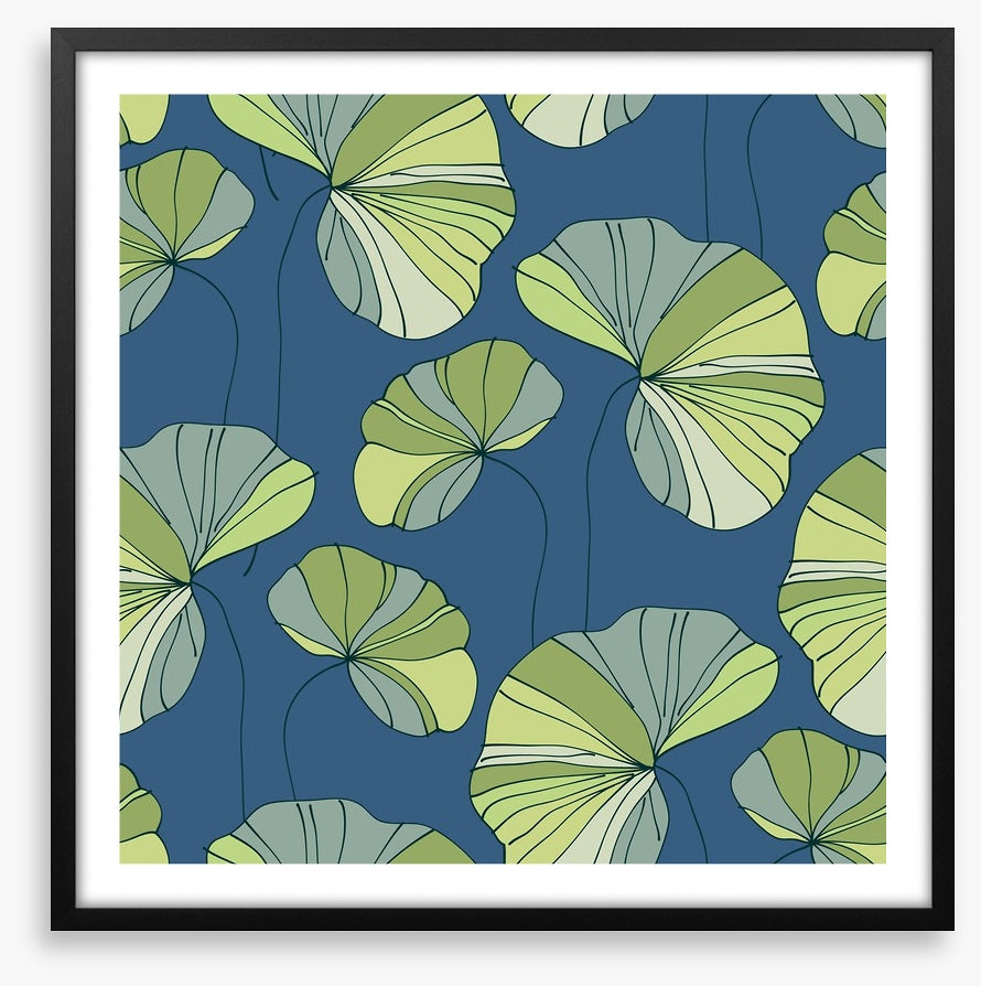 Water lily leaves