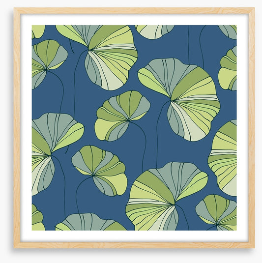Water lily leaves