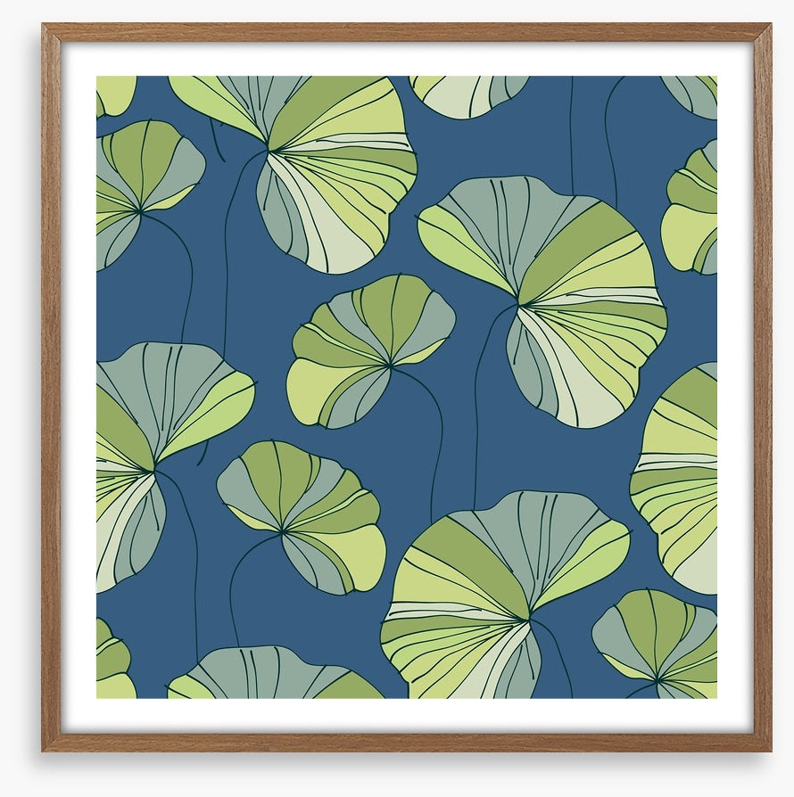 Water lily leaves