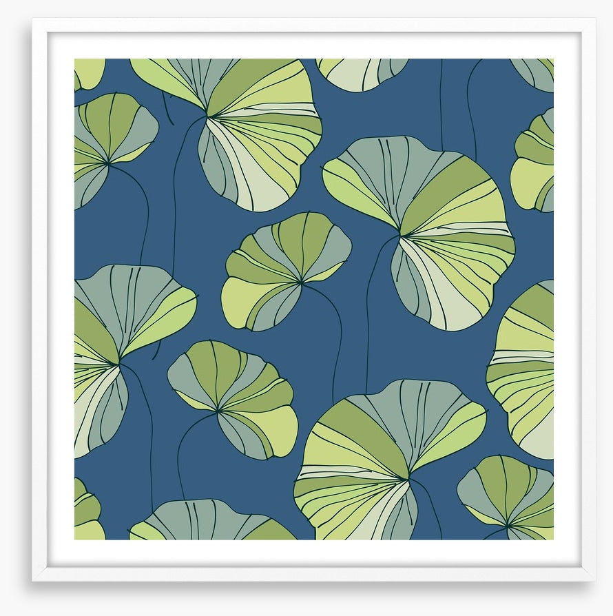Water lily leaves
