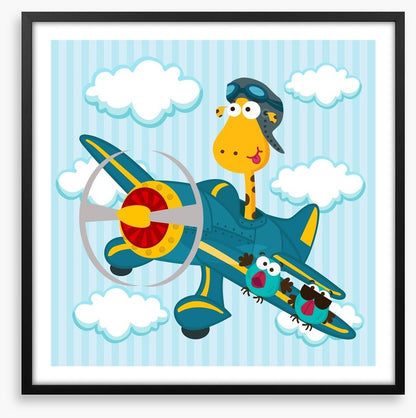 Pilot giraffe