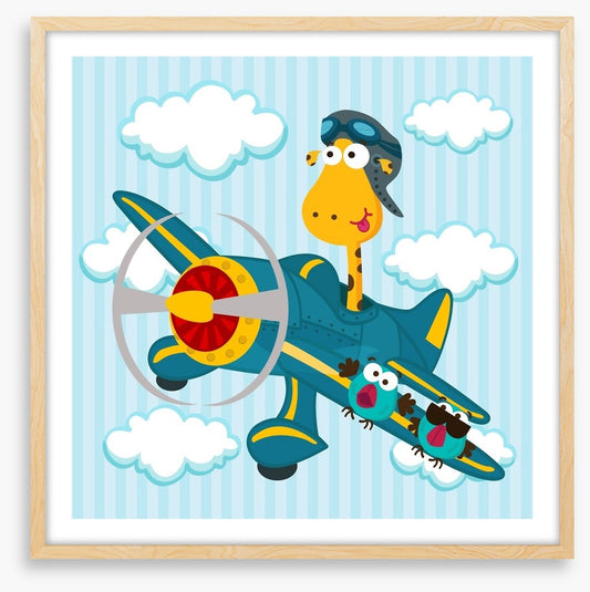 Pilot giraffe